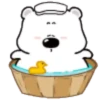 TIERNO POLAR 1 mov. 10