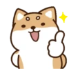 perrito shiba 15