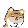 perrito shiba 16
