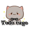 Todo tuyo