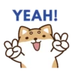 perrito shiba 17