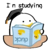 Hip h p duck 2    mov 13