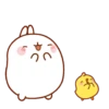 🐰 Molang & Piu piu MOV 🐤 11