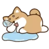 perrito shiba 20