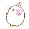 🐰 Molang & Piu piu MOV 🐤 12