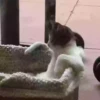 ️gAτEτοSSy mas ️ 15