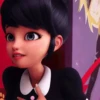 LadybugMov 16