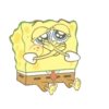 ️Baby Bob Sponge 16