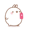 🐰 Molang & Piu piu MOV 🐤 15