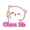 Chaubb