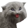 Kittens 21