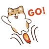 perrito shiba 21