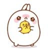 🐰 Molang & Piu piu MOV 🐤 18