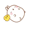 🐰 Molang & Piu piu MOV 🐤 21