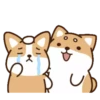perrito shiba 22