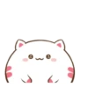 Кот и цыпленок 14
