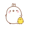 🐰 Molang & Piu piu MOV 🐤 22