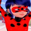 LadybugMov 18