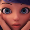 LadybugMov 20