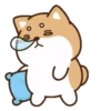 perrito shiba 23