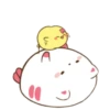 Кот и цыпленок 15