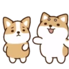 perrito shiba 24