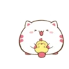 Кот и цыпленок 20
