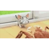 World of Chi Mov 24