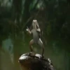 Bailando Bailando    Mov 27