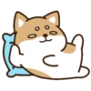 perrito shiba 26