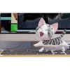 World of Chi Mov 27