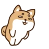perrito shiba 28