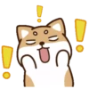 perrito shiba 29