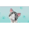 World of Chi Mov 29