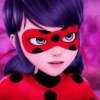 LadybugMov 28