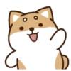 perrito shiba 30