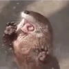 🦦My significant otter🦦 Mov 5
