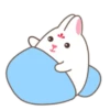 Adorable bunny 6