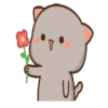 IPeach Cats 3 MOV 5