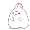 Adorable bunny 7