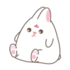 Adorable bunny 8