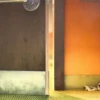 Zootopia 10