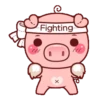 CERDITA KAWAII 5
