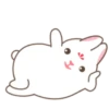 Adorable bunny 9