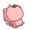 CERDITA KAWAII 6