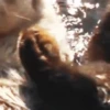 🦦My significant otter🦦 Mov 11