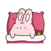 🐇Suppy pink 2🐇 Mov 9