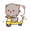 🐱Mochi Peach Cat🐈 #12 MOV 7