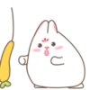 Adorable bunny 11
