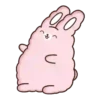 🐇Suppy pink 2🐇 Mov 10